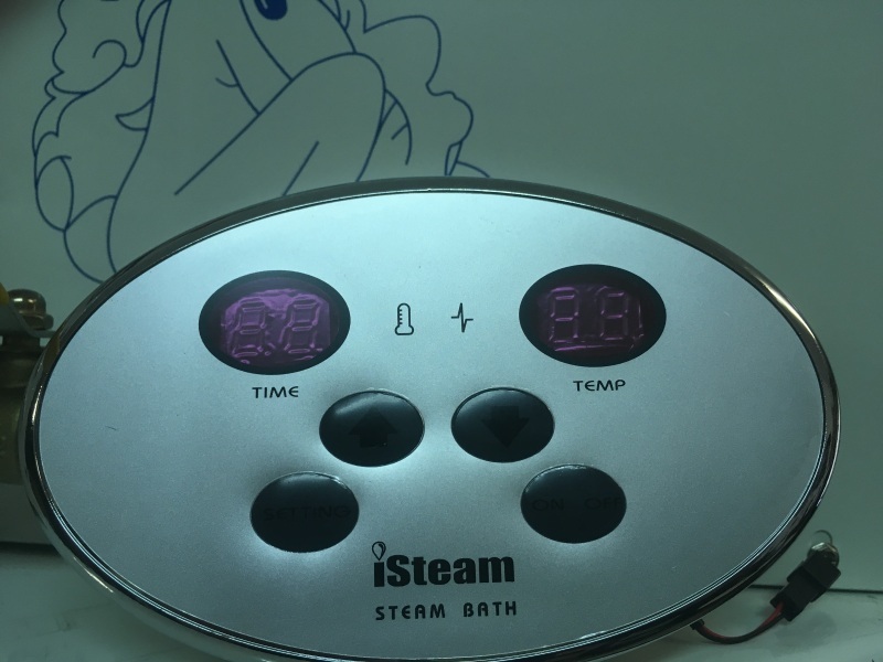 Пульт управления Steam&Water